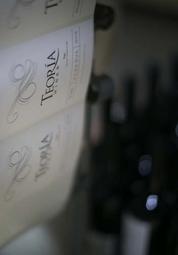 bodega-teoria-wines-mendoza-3