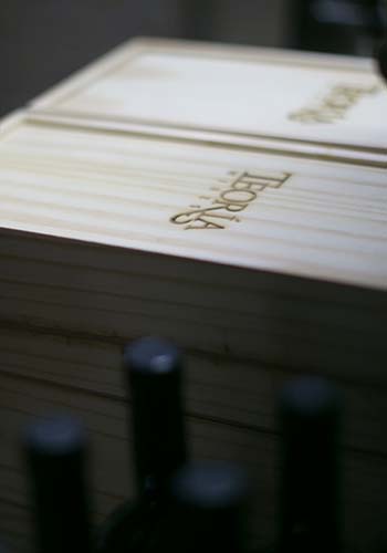 bodega-teoria-wines-mendoza-4