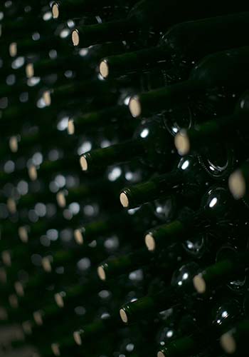 bodega-teoria-wines-mendoza-6