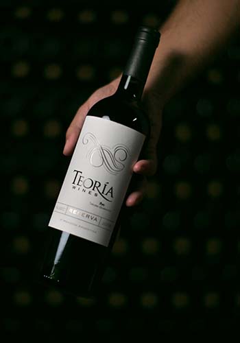 bodega-teoria-wines-mendoza-7