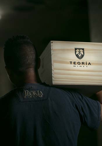 bodega-teoria-wines-mendoza-8