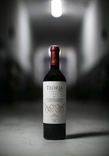 bodega-teoria-wines-mendoza-9